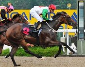 Supernova makes it a winning treble for Corey Brown with victory on Sunday.<br>Photo by Singapore Turf Club